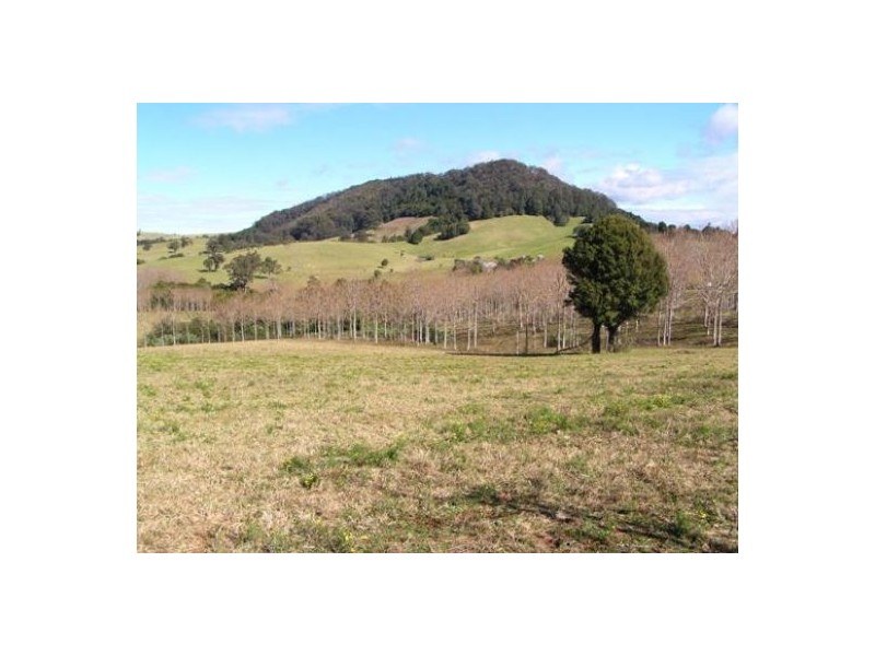 Comboyne NSW 2429