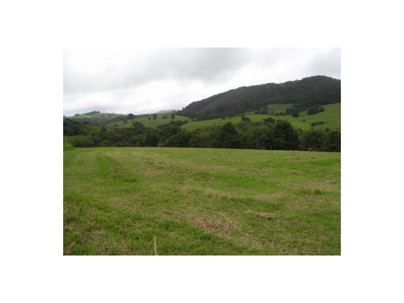 Comboyne NSW 2429