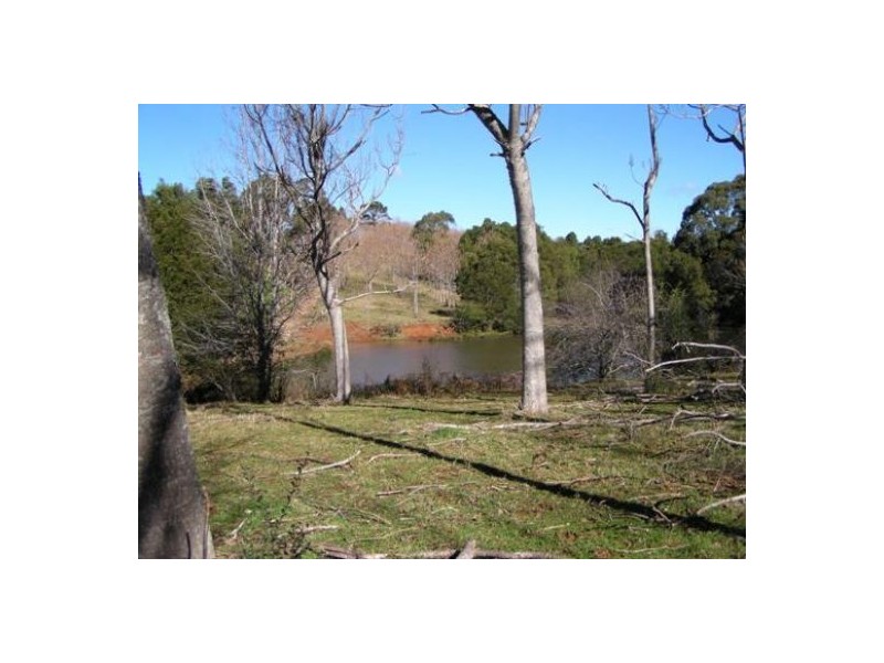 Comboyne NSW 2429