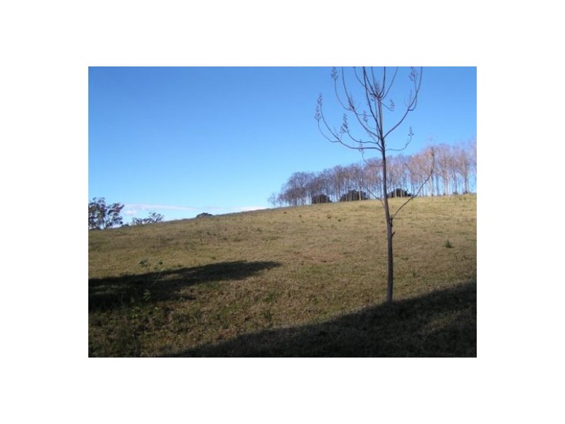 Comboyne NSW 2429