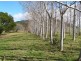 Comboyne NSW 2429
