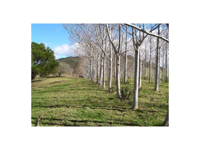 Comboyne NSW 2429