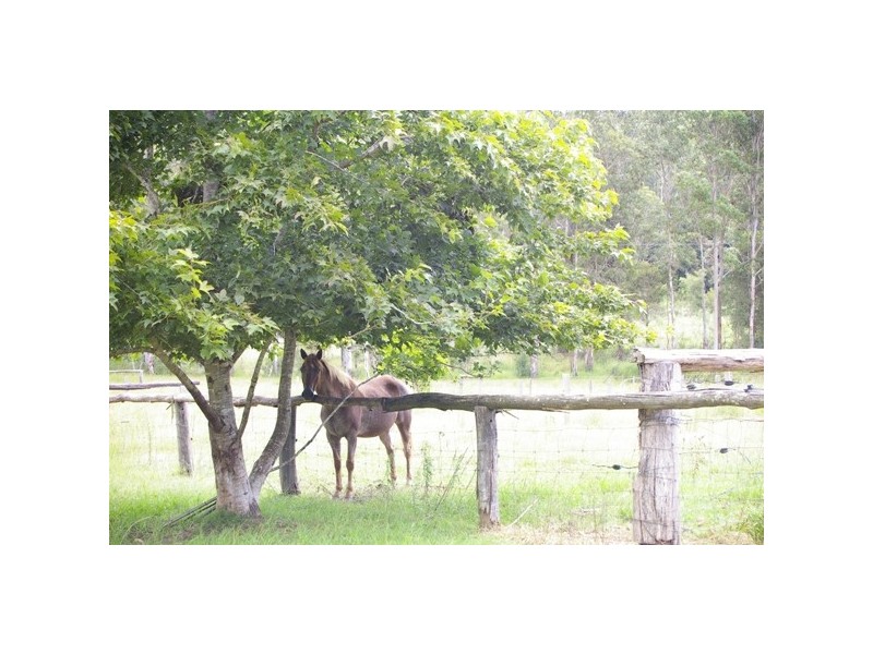 Rollands Plains NSW 2441