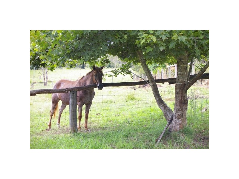 Rollands Plains NSW 2441