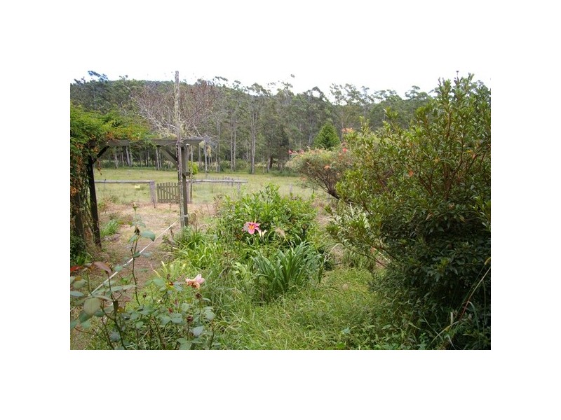 Rollands Plains NSW 2441