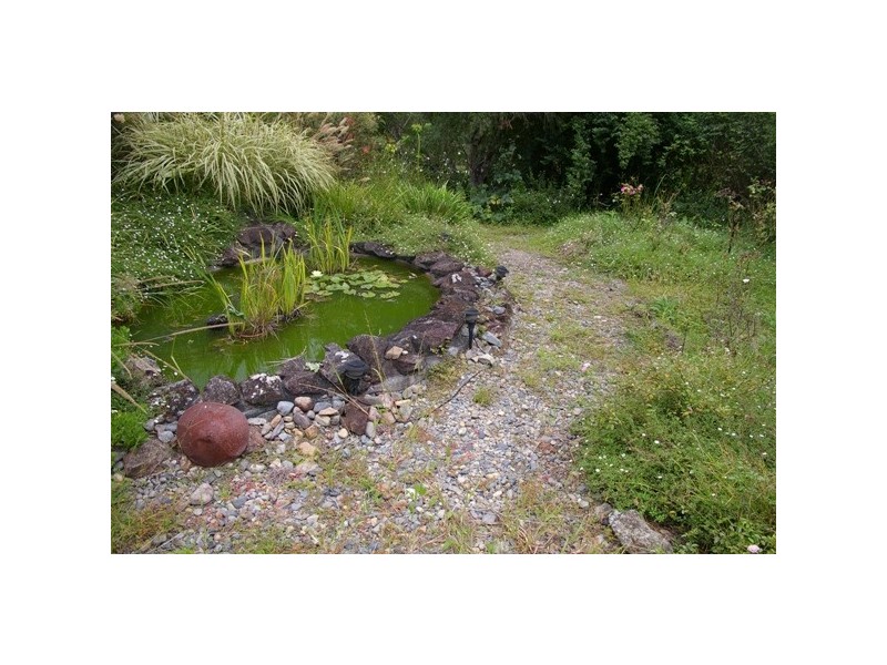 Rollands Plains NSW 2441