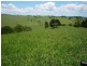 Comboyne NSW 2429