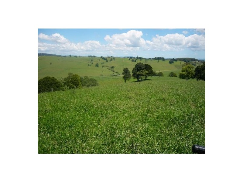 Comboyne NSW 2429
