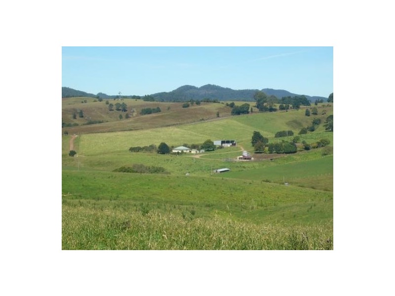 Comboyne NSW 2429
