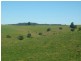 Comboyne NSW 2429