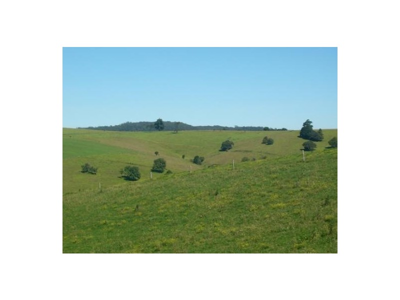 Comboyne NSW 2429
