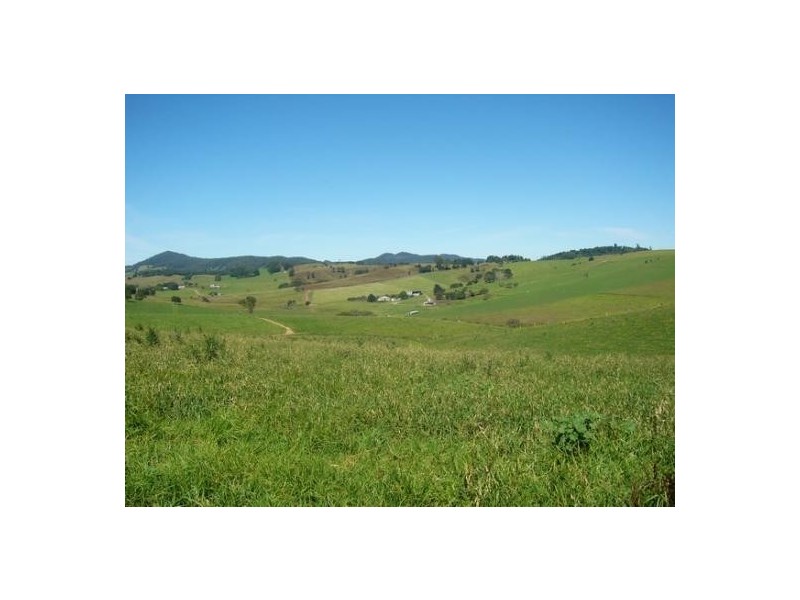 Comboyne NSW 2429