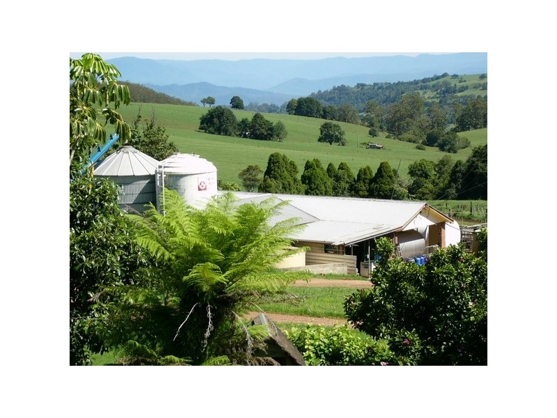 Comboyne NSW 2429