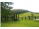 Beechwood NSW 2446