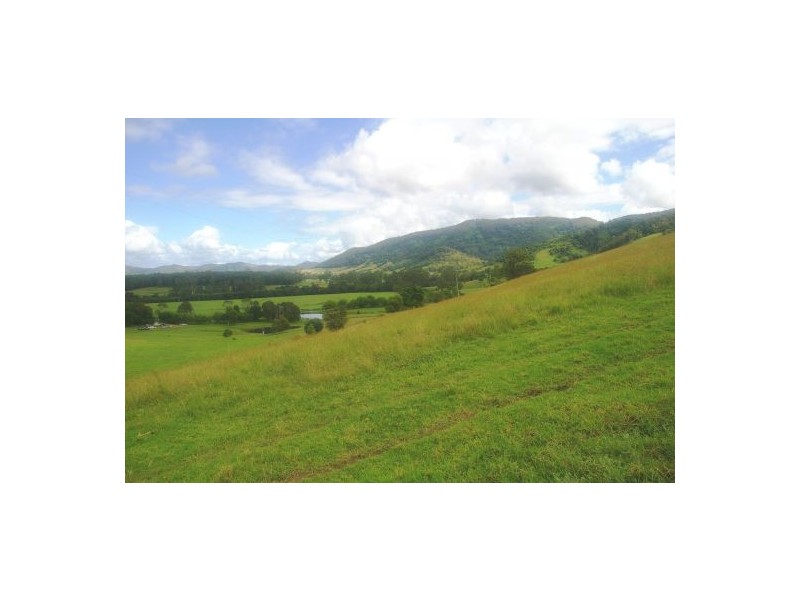 Beechwood NSW 2446