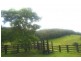 Beechwood NSW 2446