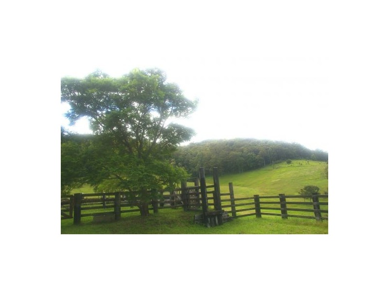 Beechwood NSW 2446