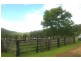 Beechwood NSW 2446