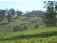 Pappinbarra NSW 2446