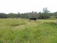 Telegraph Point NSW 2441