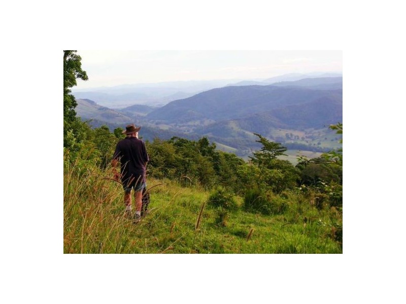 Pappinbarra NSW 2446