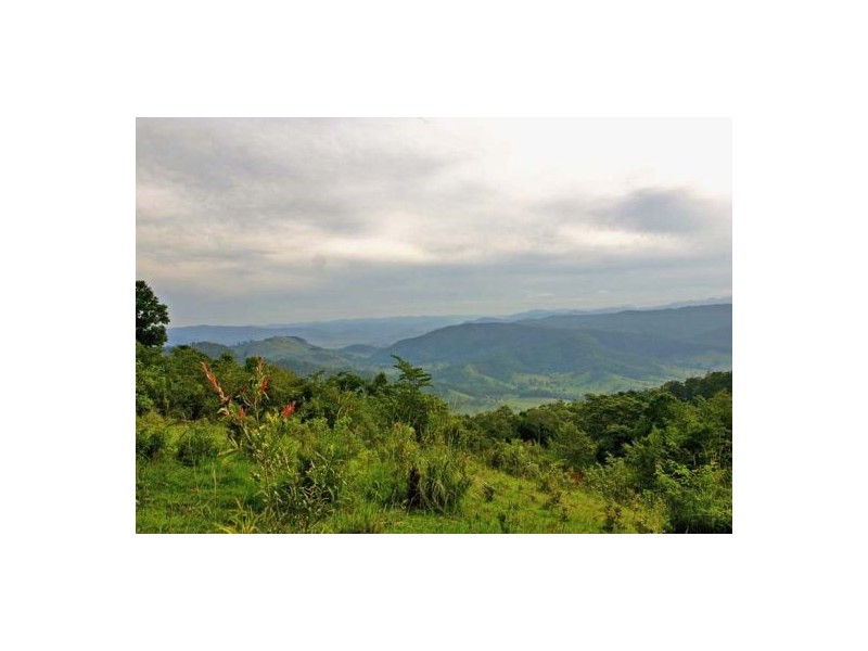 Pappinbarra NSW 2446