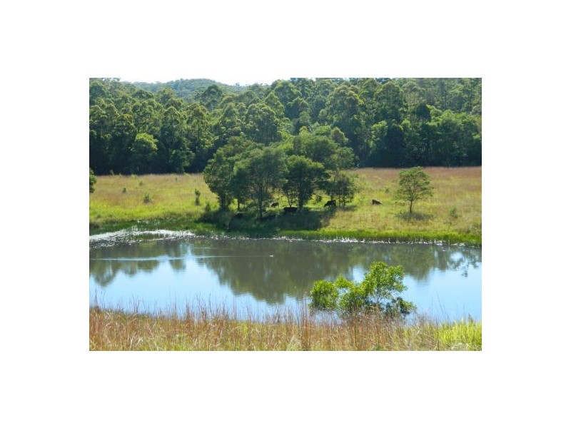 Telegraph Point NSW 2441