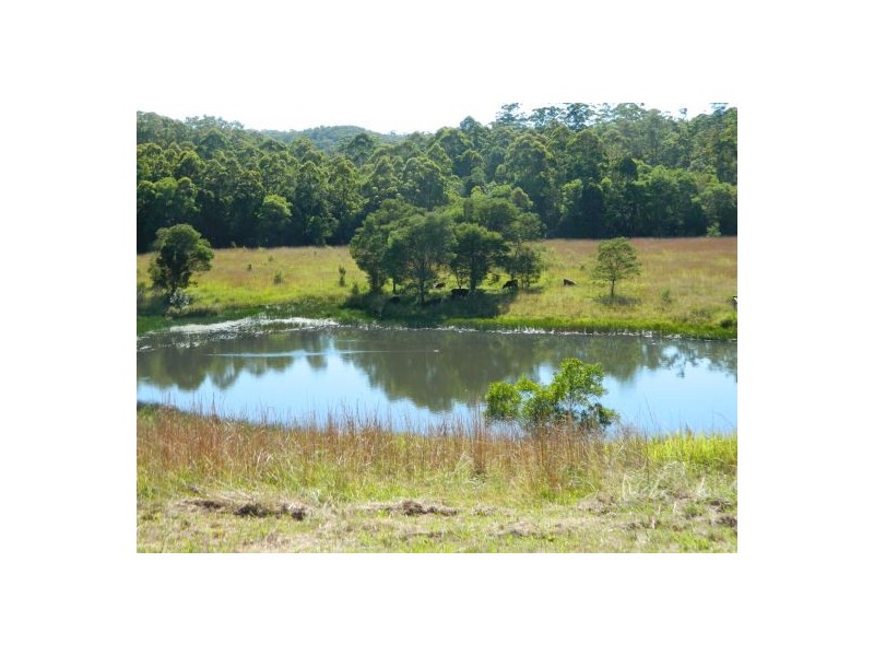 Telegraph Point NSW 2441