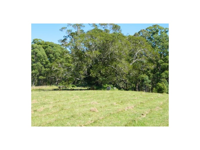 Telegraph Point NSW 2441