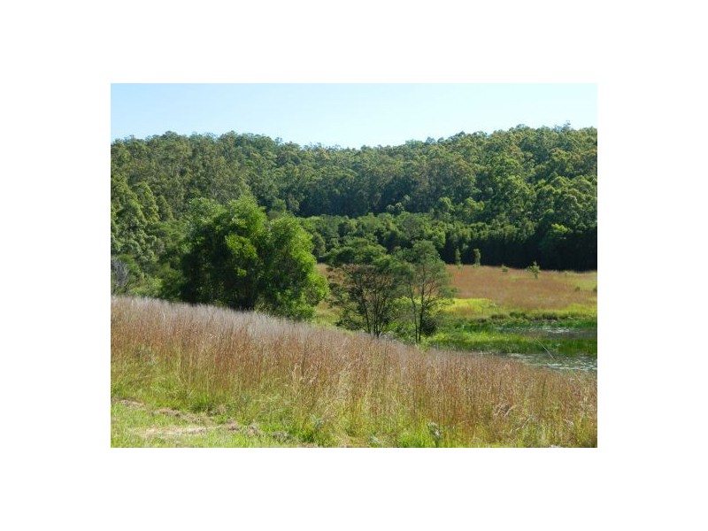 Telegraph Point NSW 2441