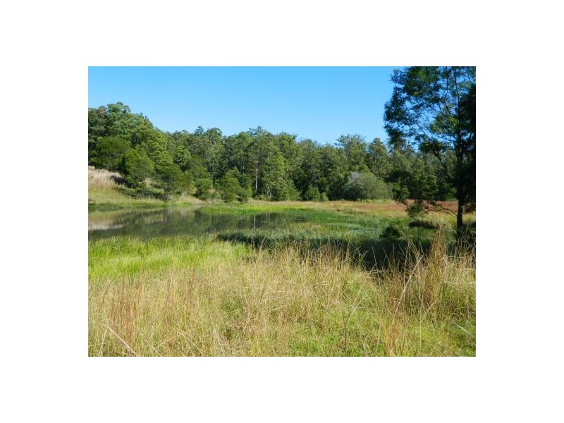 Telegraph Point NSW 2441