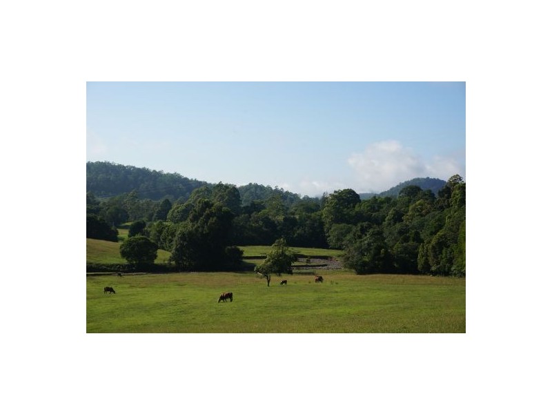 Pappinbarra NSW 2446