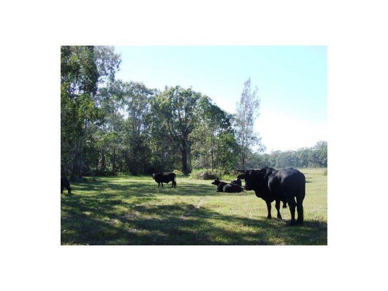 Crescent Head NSW 2440