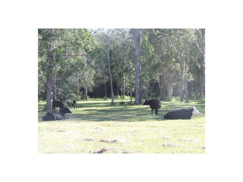 Crescent Head NSW 2440