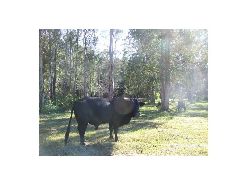 Crescent Head NSW 2440