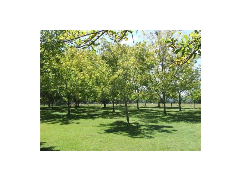 Telegraph Point NSW 2441