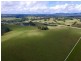 Bellangry NSW 2446