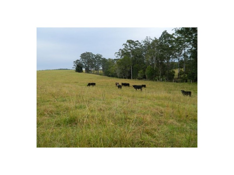 Bellangry NSW 2446