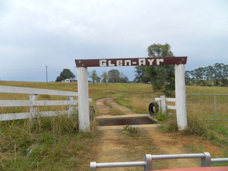 Bellangry NSW 2446