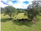 Bellangry NSW 2446