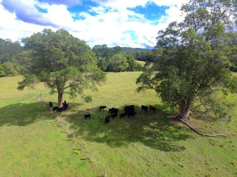 Bellangry NSW 2446