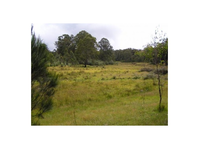 Carrai NSW 2440