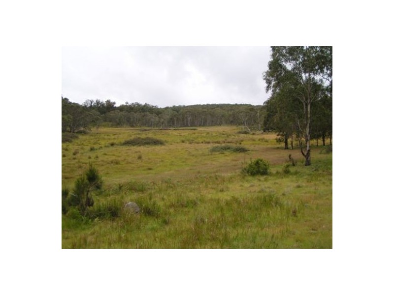 Carrai NSW 2440
