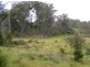 Carrai NSW 2440