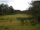 Carrai NSW 2440
