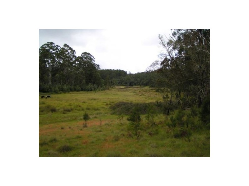 Carrai NSW 2440