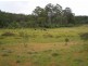 Carrai NSW 2440