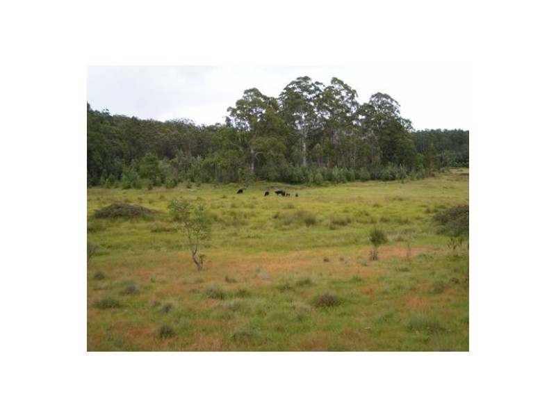 Carrai NSW 2440
