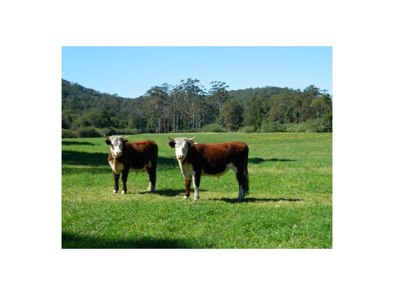 Cooperabung NSW 2441