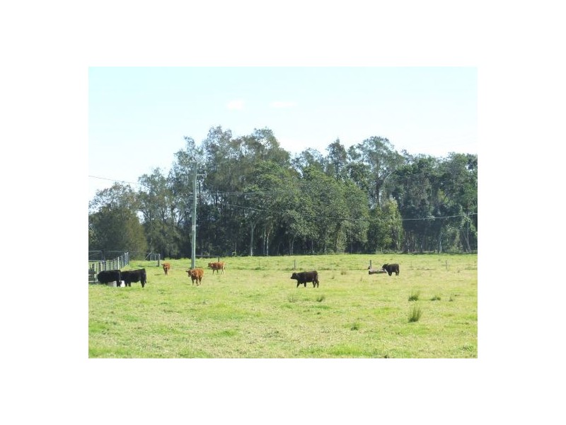 Rawdon Island NSW 2446